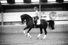 Wilco Kats Clinic
